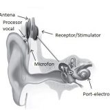 compartiment-audiologie-orl-160×160